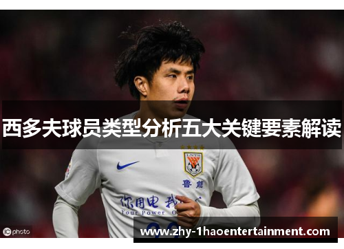 西多夫球员类型分析五大关键要素解读