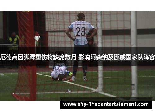 厄德高因脚踝重伤将缺席数月 影响阿森纳及挪威国家队阵容 厄德高因脚踝重伤将缺席数月 影响阿森纳及挪威国家队阵容